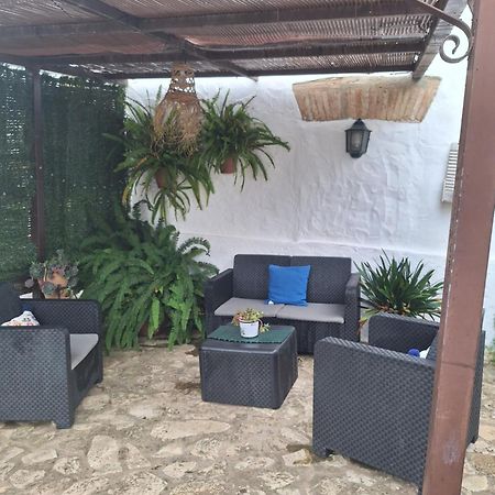 Casa Rural El Nino Santamaria , Con Piscina Y Wifi Vejer de la Frontera Ngoại thất bức ảnh
