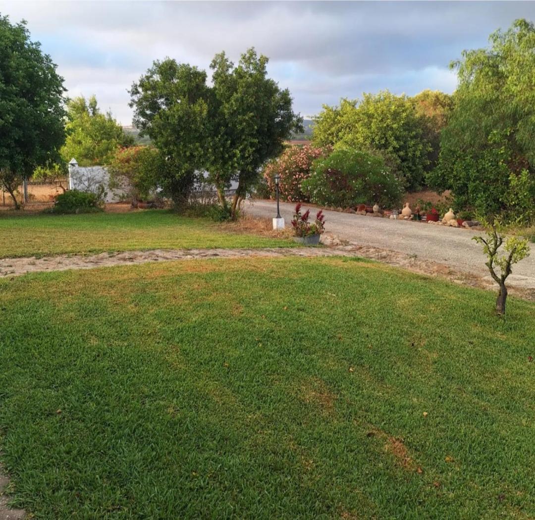 Casa Rural El Nino Santamaria , Con Piscina Y Wifi Vejer de la Frontera Ngoại thất bức ảnh