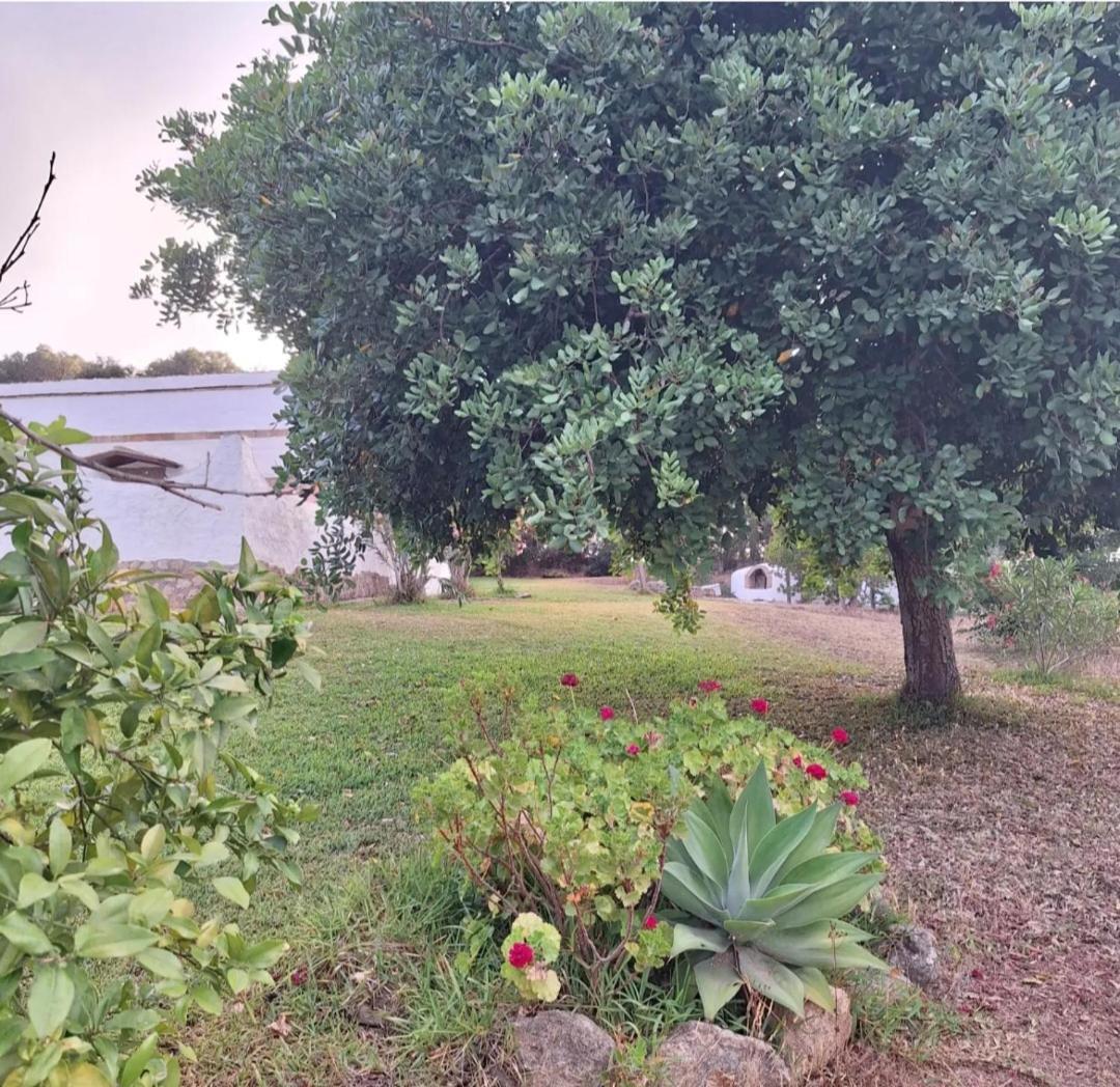 Casa Rural El Nino Santamaria , Con Piscina Y Wifi Vejer de la Frontera Ngoại thất bức ảnh