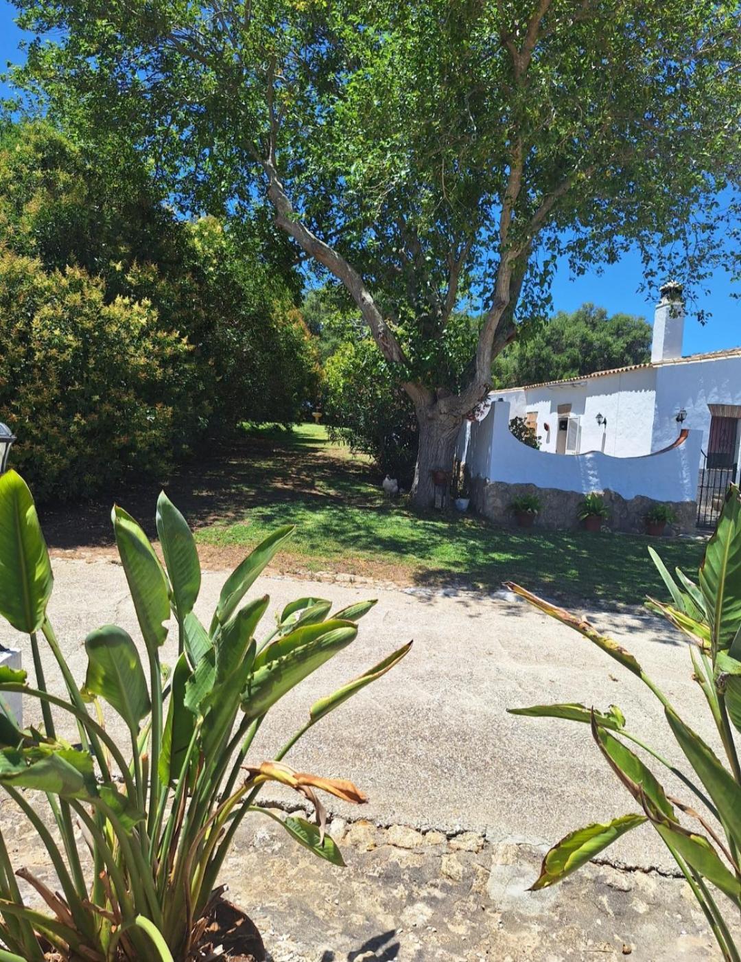 Casa Rural El Nino Santamaria , Con Piscina Y Wifi Vejer de la Frontera Ngoại thất bức ảnh