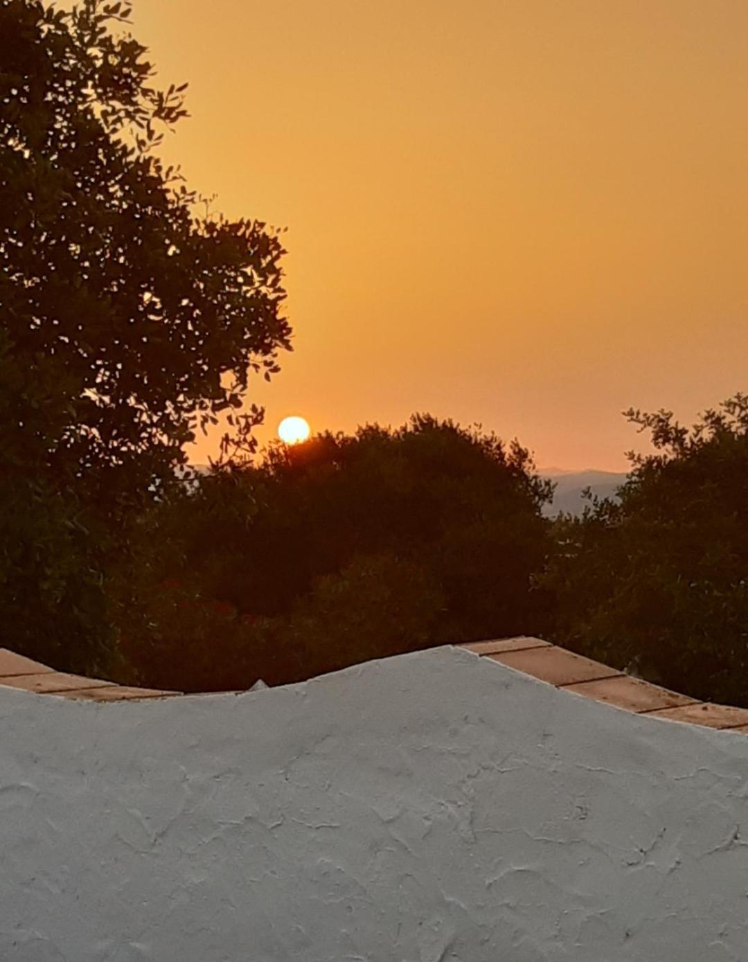 Casa Rural El Nino Santamaria , Con Piscina Y Wifi Vejer de la Frontera Ngoại thất bức ảnh